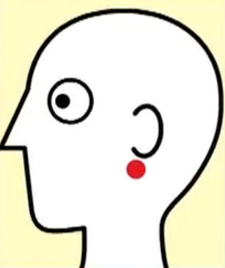 キスマイ千賀さんのオリジナル小顔マッサージ